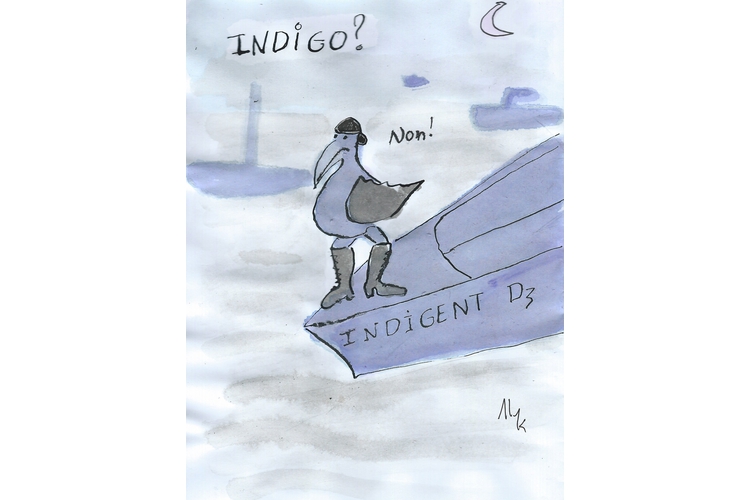Indigent