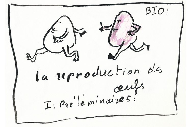 Reproduction bio
